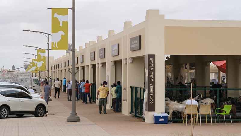 Sharjah Livestock Market: All you need to know