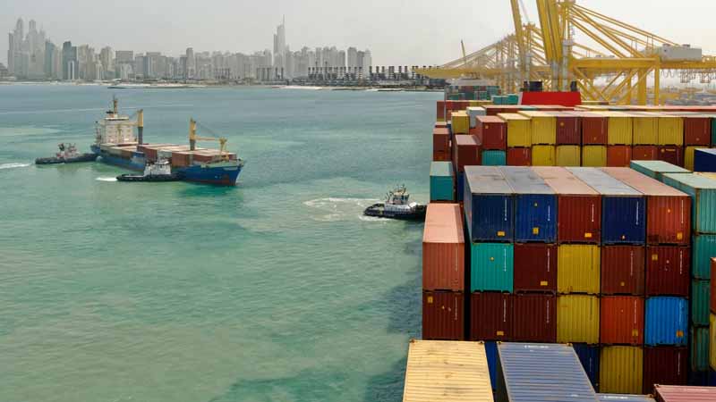 Dubai seizes over 547kg of illegal drugs headed for Canada