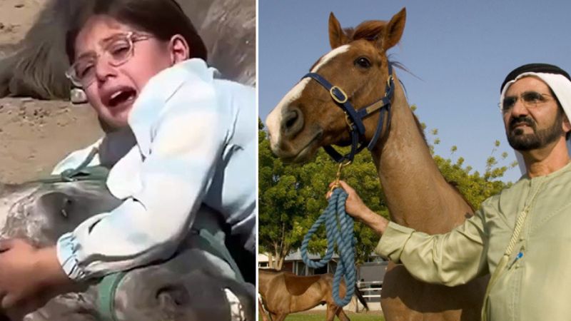 Sheikh Mohammed's touching gift to Iraqi girl mourning her horse