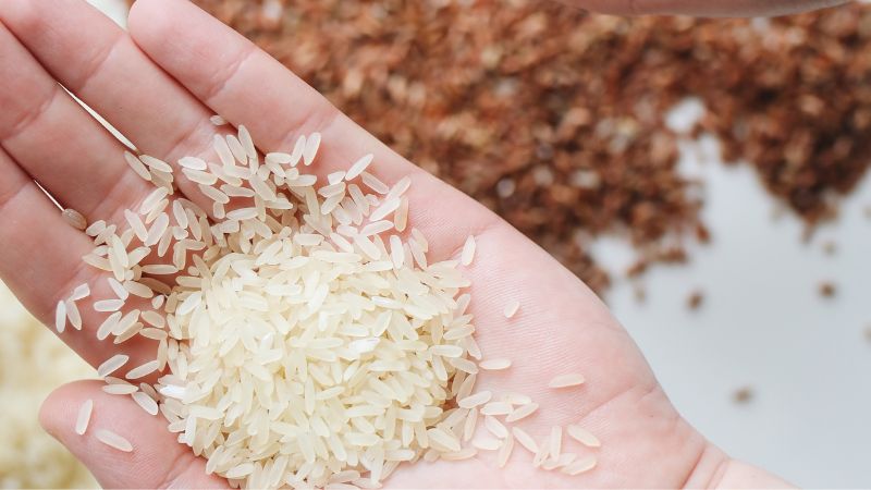 UAE bans export of rice for next four months
