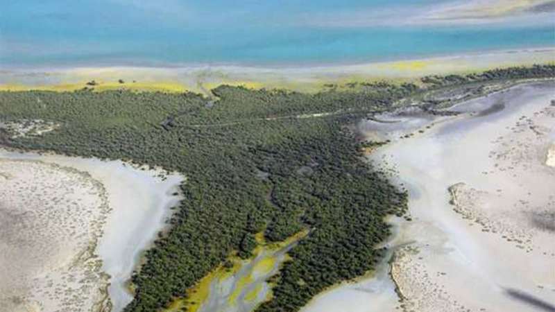 Top 5 places to visit in Umm Al Quwain