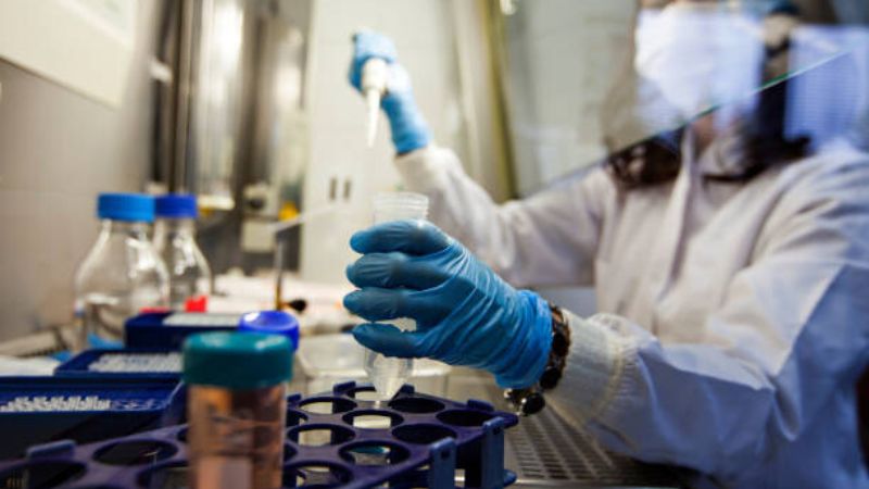 Abu Dhabi stem cell therapy aims to treat hair loss issues