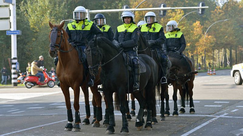 Dubai Mounted Police Carried Out 800 Patrols in 6 Months