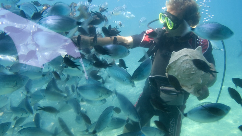 Top 5 UAE snorkeling spots to beat the heat