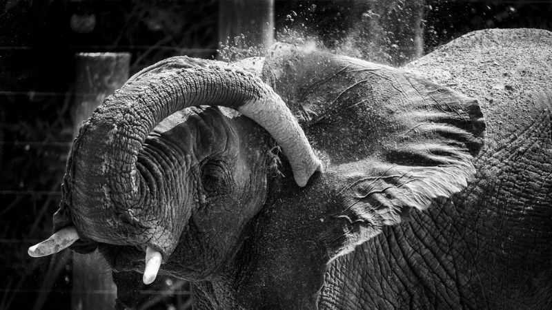 Pakistani Wins top Hamdan International Photography Award, 2 Filipinos bag 2nd and 3rd place