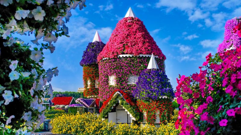 Dubai Miracle Garden to reopen on September 29