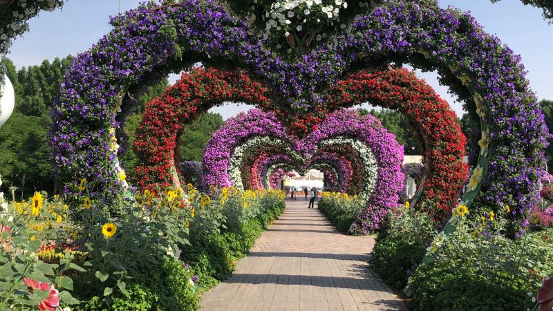 Dubai Miracle Garden Announces Ticket Discount for UAE Expats,Citizens