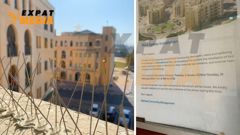 Dubai's International City puts up bird spikes to deal with pigeon problem
