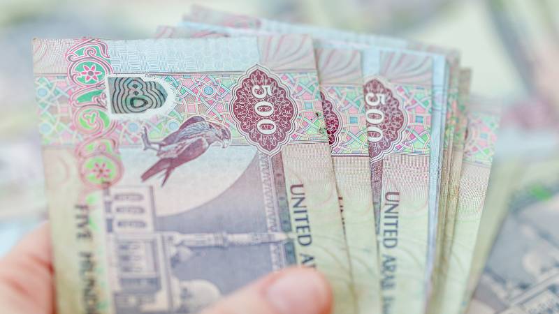 UAE sets monthly salary deadline for private sector from June 1: What you need to know