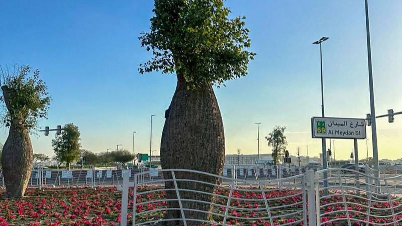 First in Dubai: Is it a vase or a bottle? It’s a flower-bearing tree!