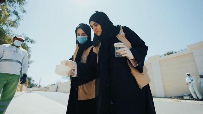 Report mosquito sightings, breeding sites, UAE residents told