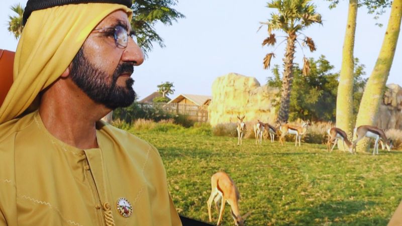UAE launches new 10-year Blue Residency visa