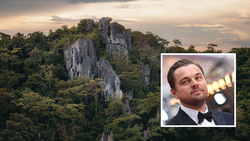 Masungi: Leonardo DiCaprio fights for protected Philippine area