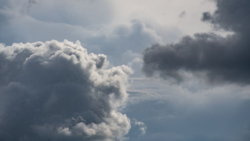 UAE: Digital platform to monitor weather, natural disasters launched