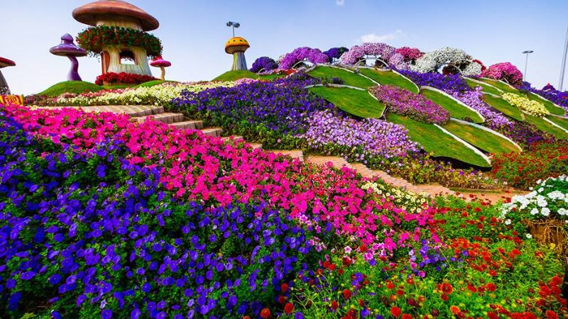 Dubai Miracle Garden opens for new season; Tickets start at Dh60