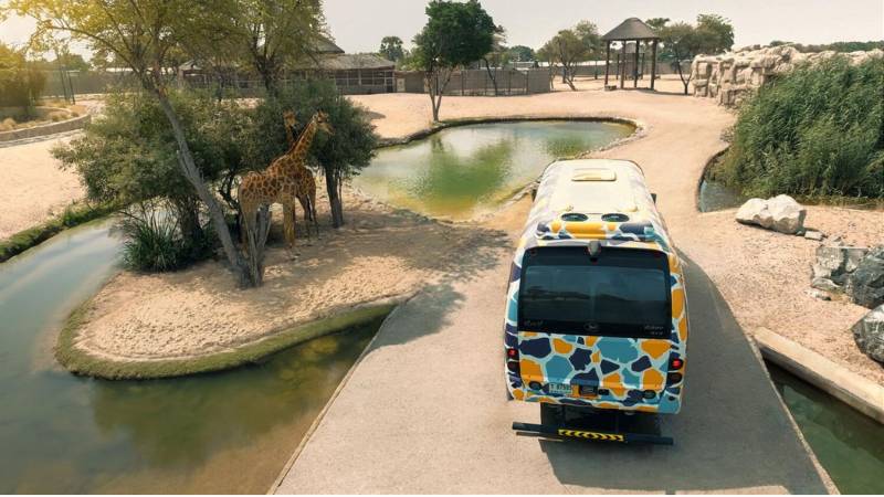 Dubai Safari Park launches night safaris this December