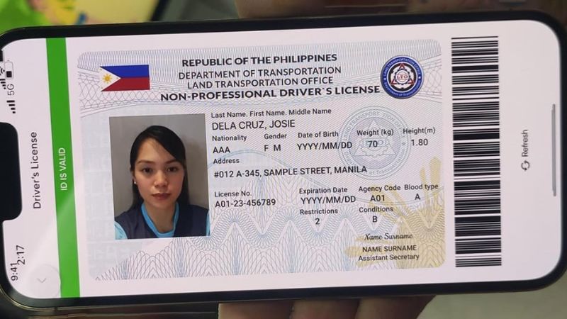OFWs can soon renew their driver's licence online while abroad