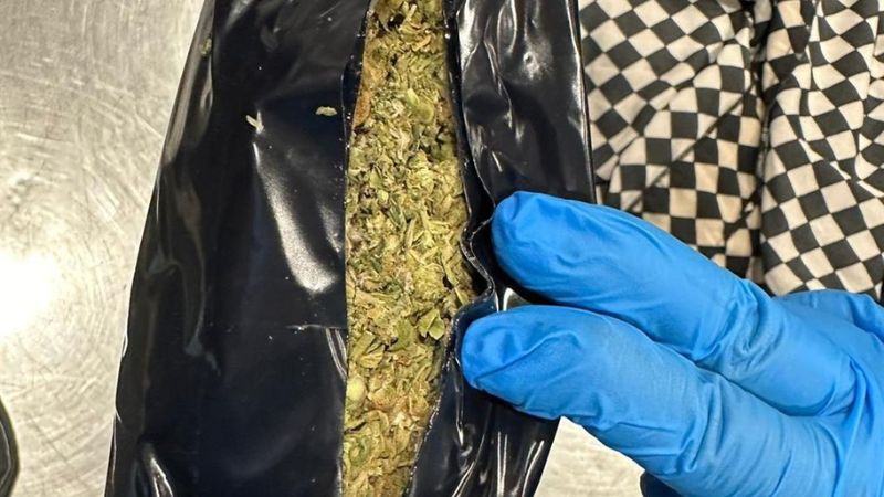 Dubai Customs busts marijuana smuggling attempts, seizes 54kg of the illegal substance