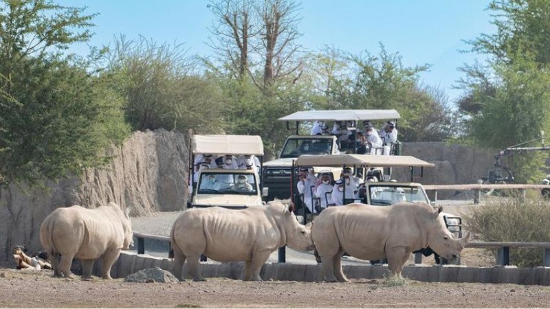 Sharjah Safari to reopen on September 23 with new adventures