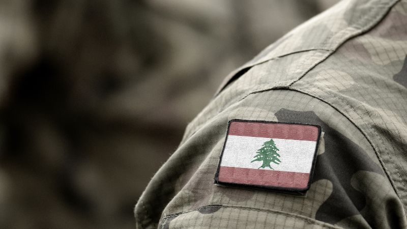 UAE launches investigation after citizen violates travel ban to Lebanon