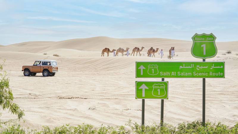 Top 5 projects from Sheikh Hamdan’s rural development master plan for 2024-2028