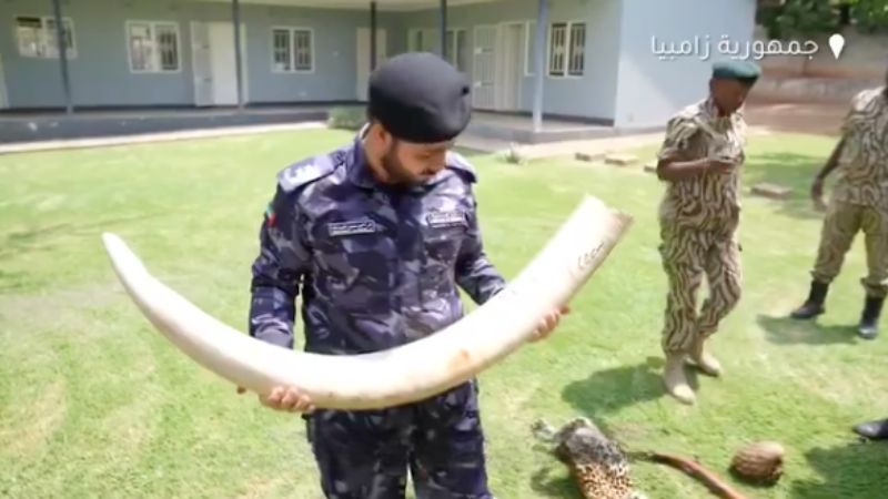 UAE helps arrest 58, seize 32kg illegal gold in Congo ‘Jungle Shield’ operation
