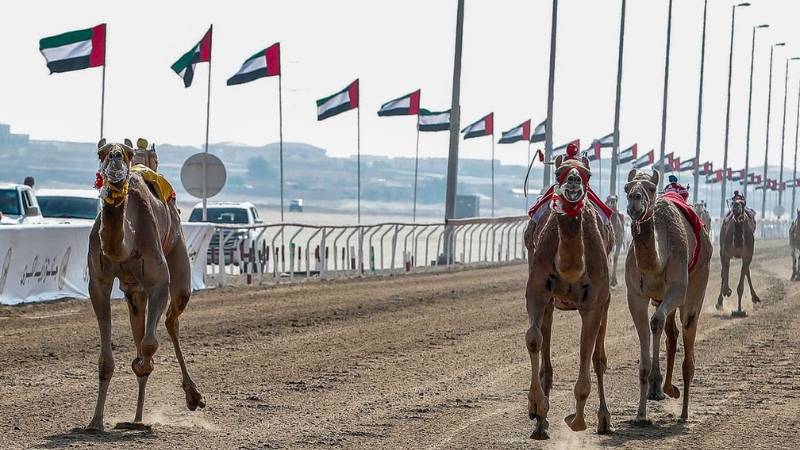 Zayed Grand Camel Race 2024 kicks off in Abu Dhabi