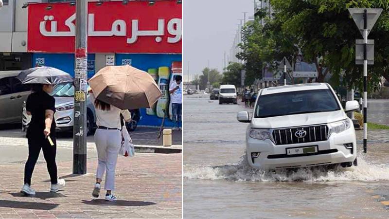 WMO warns 2024 could be hottest year ever as climate crisis intensifies