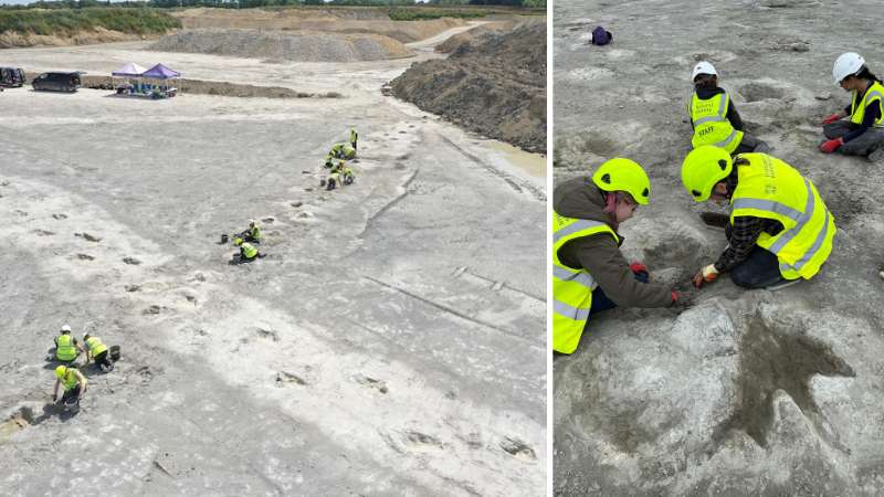 UK’s largest dinosaur footprint site discovered in Oxfordshire