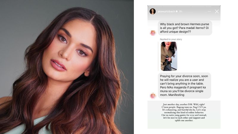 Pia Wurtzbach calls out online bullying over ‘divorced, single mom’ comment