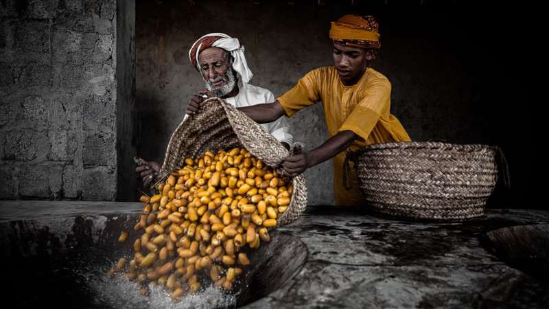 Xposure festival in Sharjah: Rare photo prints for sale up to Dh890,000