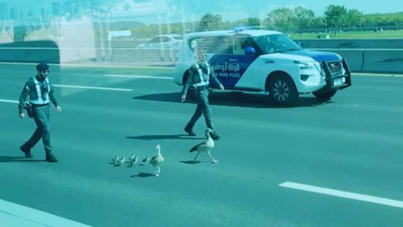 Abu Dhabi Police officers rescue ducks from busy traffic