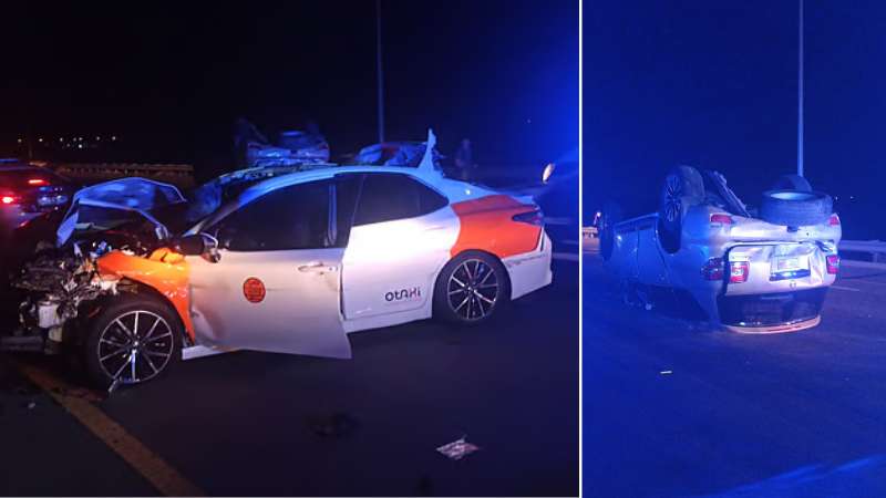 Three Omanis killed in camel-related traffic accidents