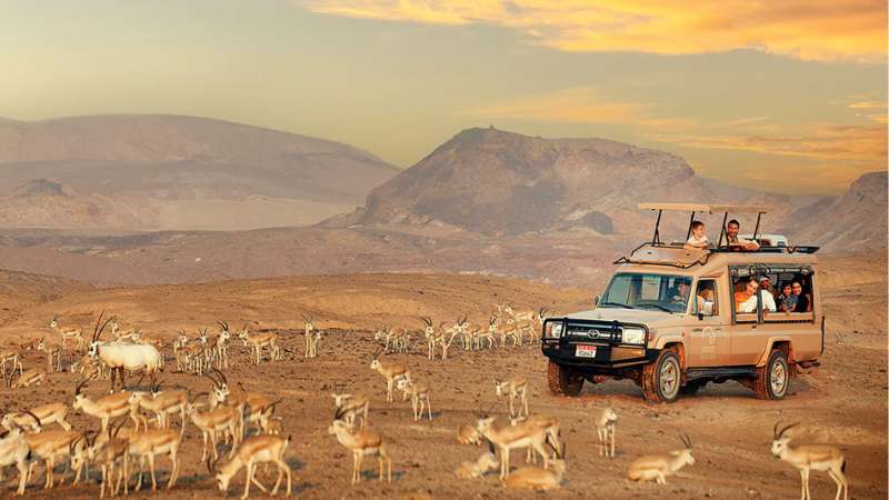 Challenge Sir Bani Yas back in April for thrilling race weekend