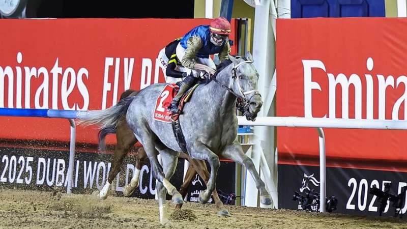 Qatar's 'Hit Show' wins $12 million Dubai World Cup 2025