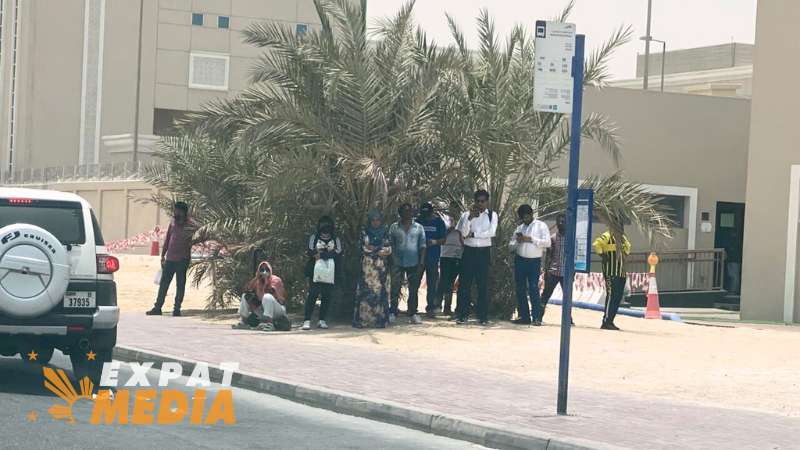 Dubai: International City commuters take shelter under trees due to lack of shaded bus stops
