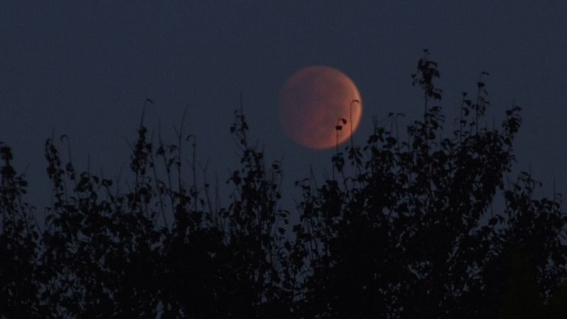 Rare total lunar eclipse visible in UAE on September 7