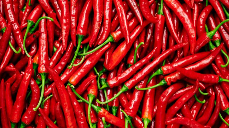 Chili prices hit P800 per kilo in parts of Philippines — nearly triple the price in UAE