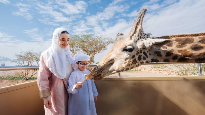 Re-discover Al Ain Zoo as it reopens