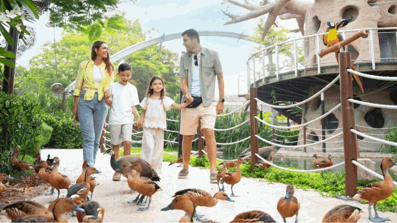 Dubai Safari Park launches kids go free and buy 2 get 2 free ticket deals