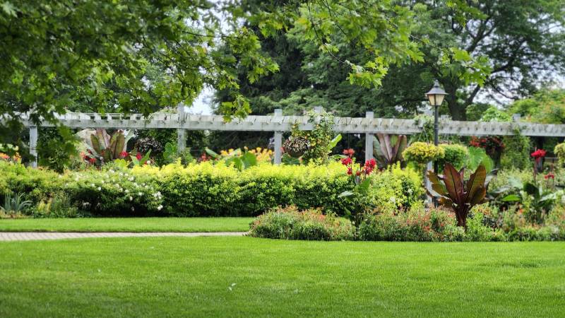Got a beautiful home garden in Dubai? You could win up to Dh100,000