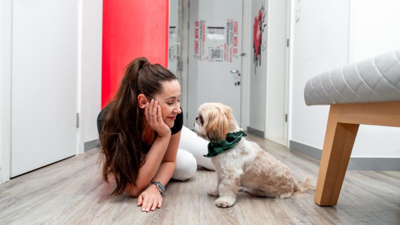 Hotel review: Pet-friendly Radisson RED Dubai Silicon Oasis