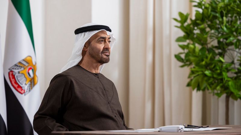 UAE President Sheikh Mohamed bin Zayed's New Year message