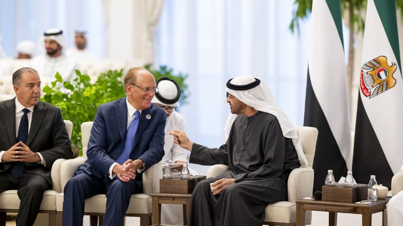 UAE President discusses innovation with Elon Musk, BlackRock CEO