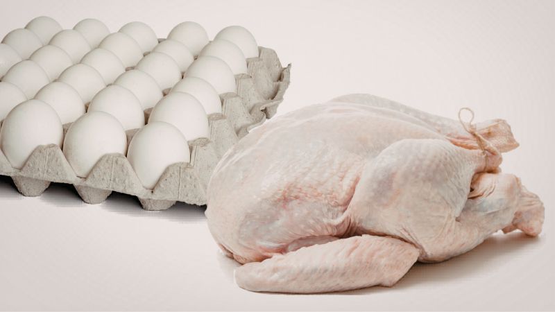 UAE cracks down on poultry price-fixing cartel