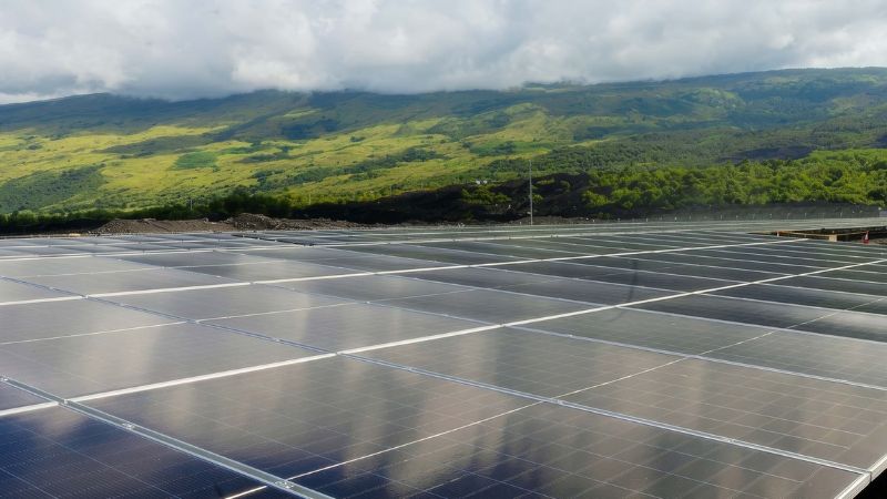 UAE marks Earth Day with global sustainability push, clean energy projects