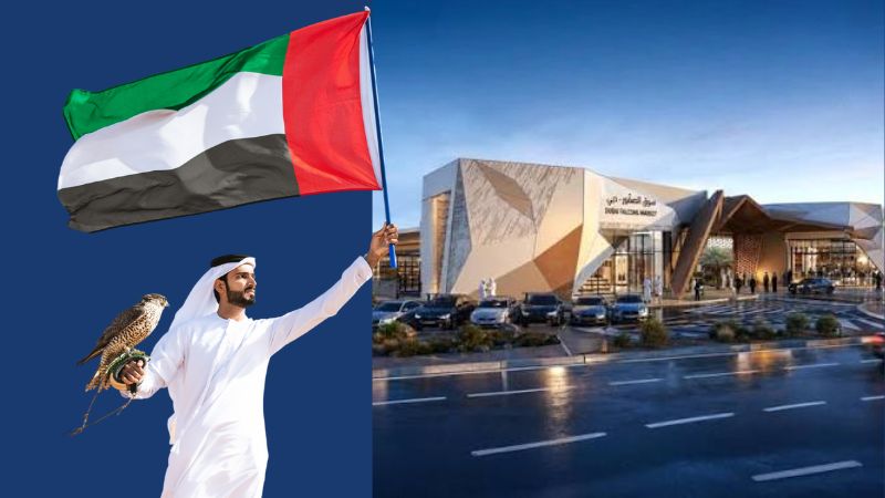 Dubai to build first-ever Falcon Market