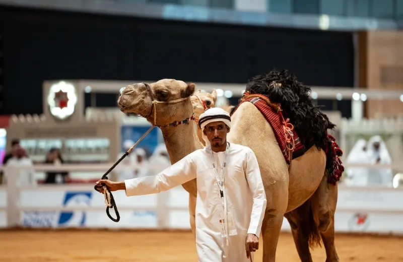 Animals of UAE: Meet the emirates' incredible wildlife